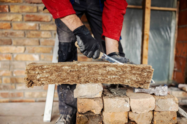 Best Insulation Removal  in Gloster, MS